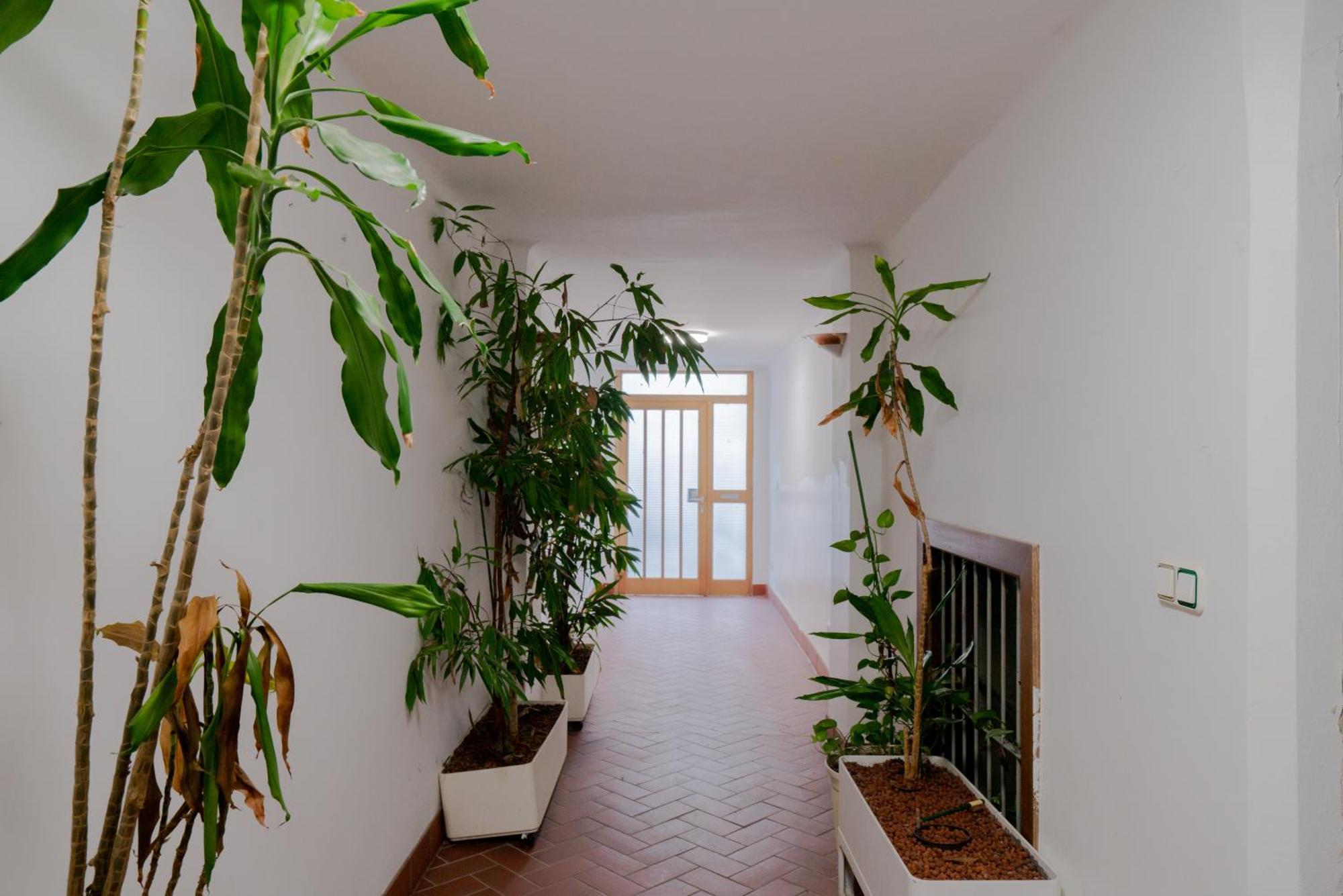 Bessemer - Charming Cottage With Garden Vienne Extérieur photo
